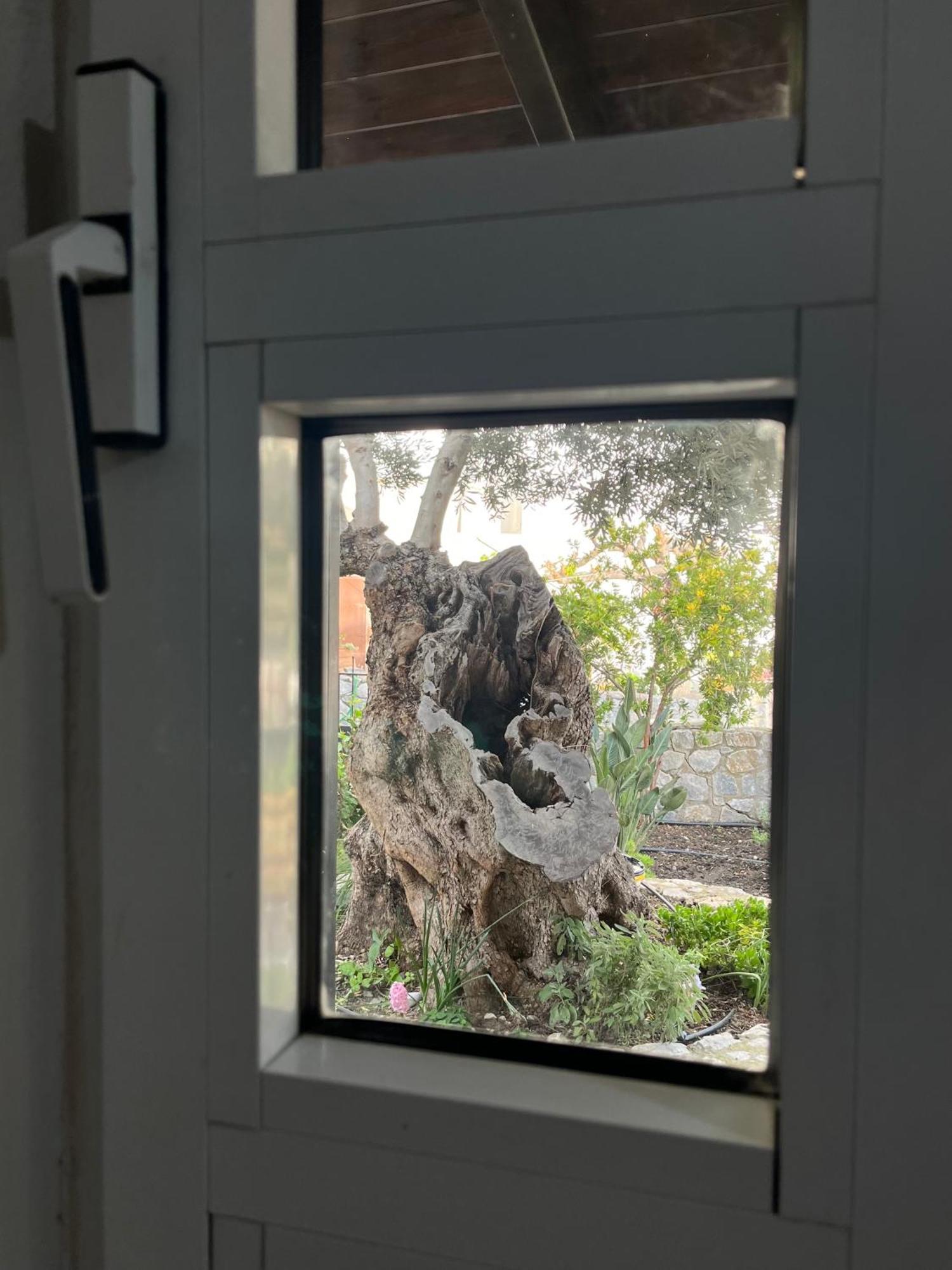 Petasos House - Garden - Sea View Villa Sellía Екстериор снимка