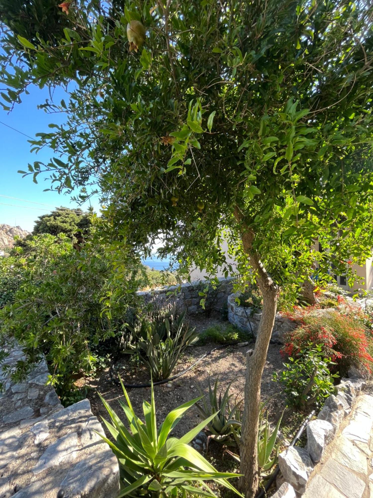 Petasos House - Garden - Sea View Villa Sellía Екстериор снимка