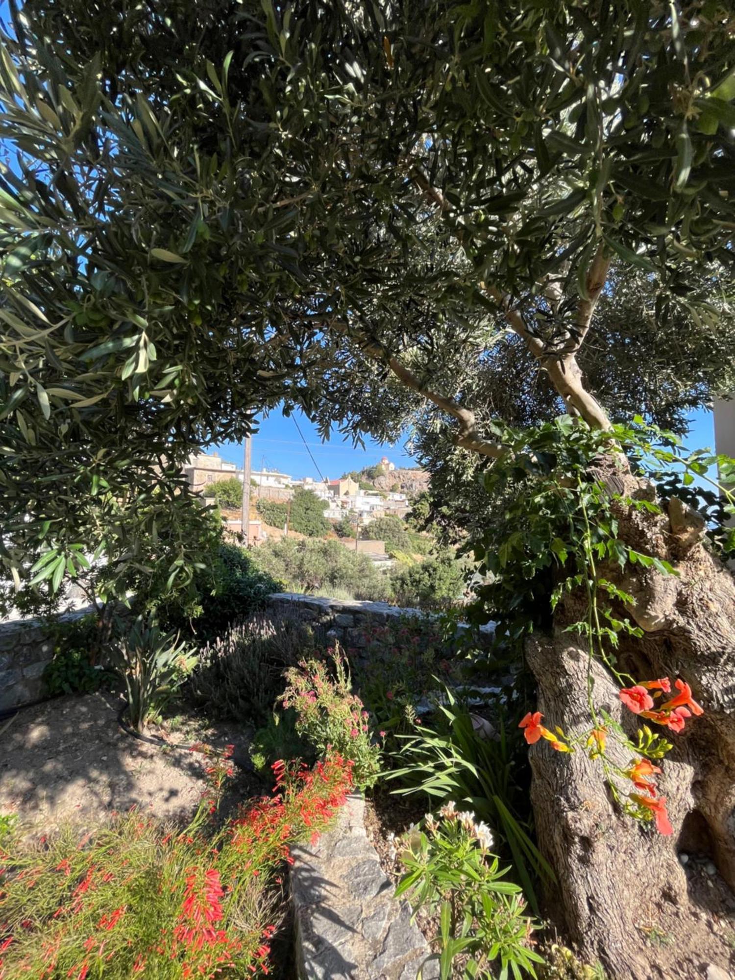 Petasos House - Garden - Sea View Villa Sellía Екстериор снимка