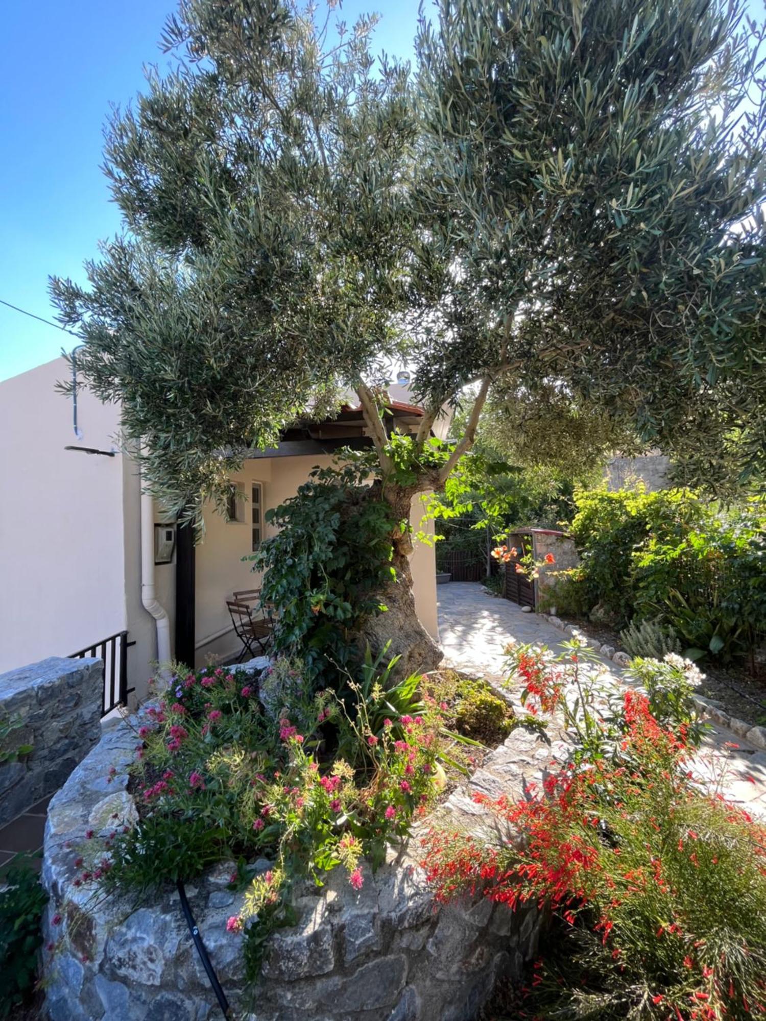Petasos House - Garden - Sea View Villa Sellía Екстериор снимка